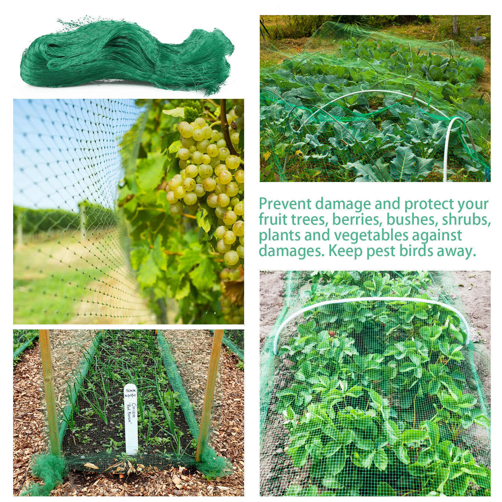 33FT Anti Bird Netting Pond Net Protection Tree Crops Plants Fruits