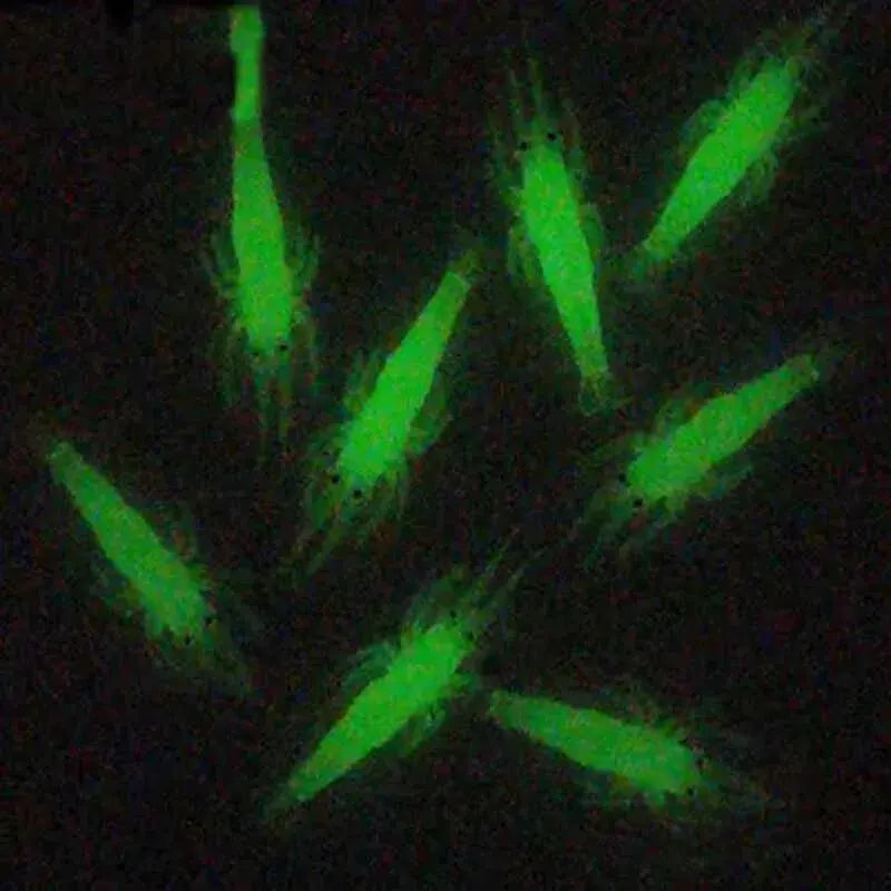 20PCS Isca Artificial Soft Shrimp Lure Worm For Fishing Bait 1.3g/4cm