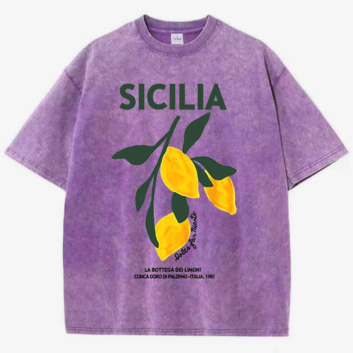 Amalfi Coast Italia Lemon Fruit Design Women Washed T-Shirts Y2K