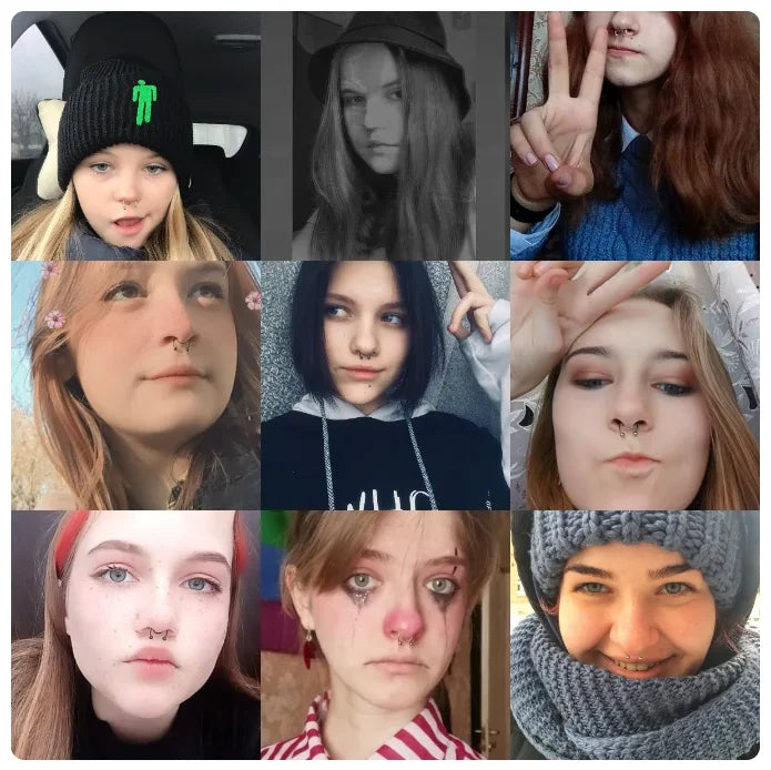 2Pcs or 5Pcs Magnet Nose Ring Stainless Steel Horseshoe Ring Nose Clip