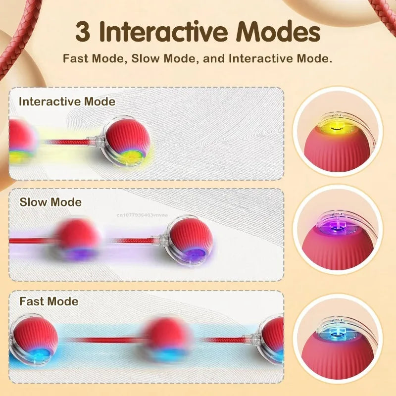 Cat Interactive Ball Training Self-moving Kitten Electric Cat Ball
