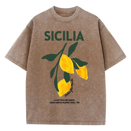 Amalfi Coast Italia Lemon Fruit Design Women Washed T-Shirts Y2K