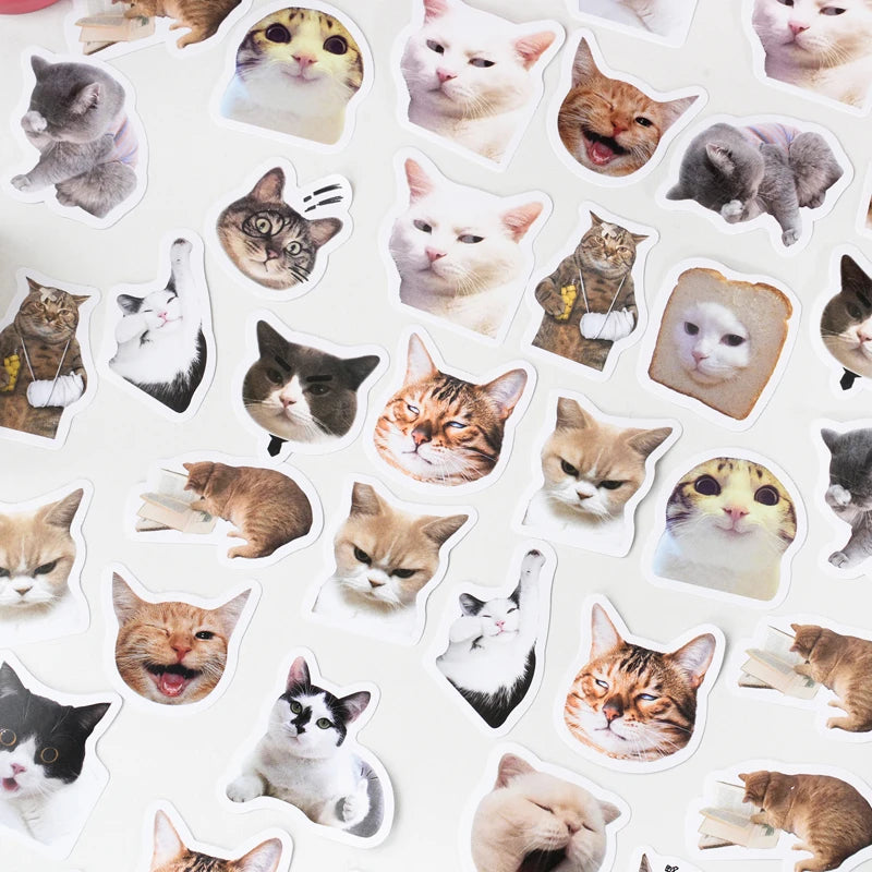 46pcs/Bag,Cat Stickers,Be for Suitcase Skateboard Luggage Laptop Phone