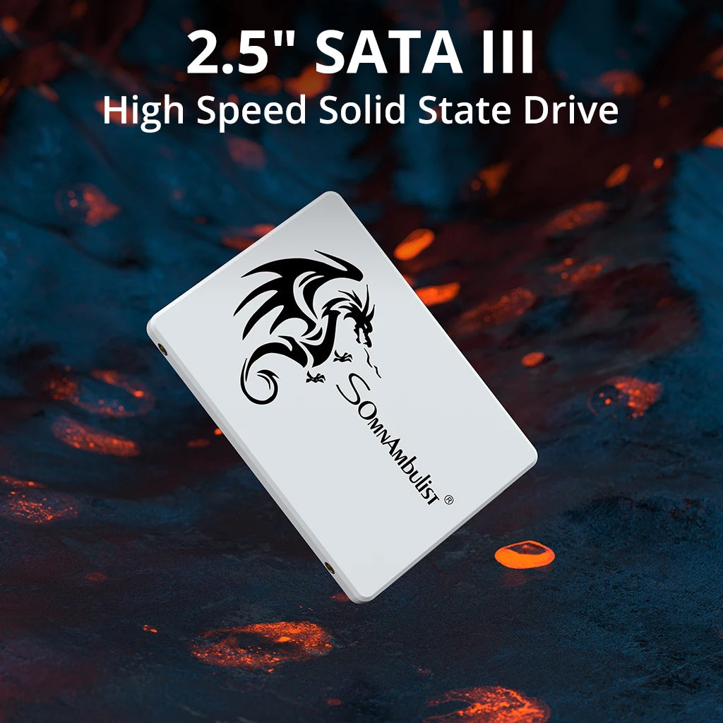 SomnAmbulist SSD 2.5 64GB 128GB 256GB 512GB for Laptop Desktop Solid