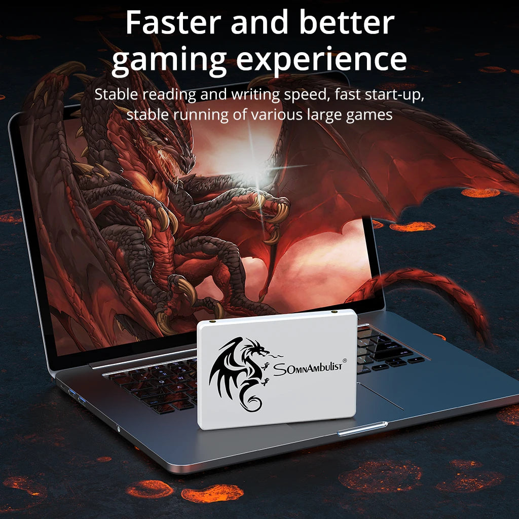 SomnAmbulist SSD 2.5 64GB 128GB 256GB 512GB for Laptop Desktop Solid