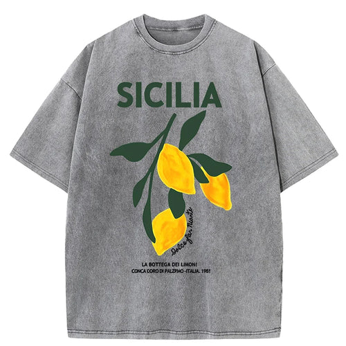 Amalfi Coast Italia Lemon Fruit Design Women Washed T-Shirts Y2K