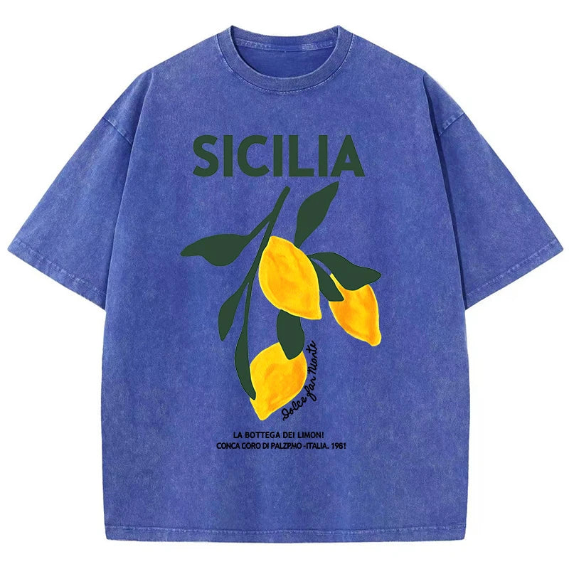 Amalfi Coast Italia Lemon Fruit Design Women Washed T-Shirts Y2K