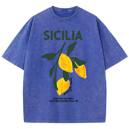 Amalfi Coast Italia Lemon Fruit Design Women Washed T-Shirts Y2K