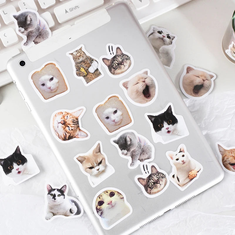 46pcs/Bag,Cat Stickers,Be for Suitcase Skateboard Luggage Laptop Phone