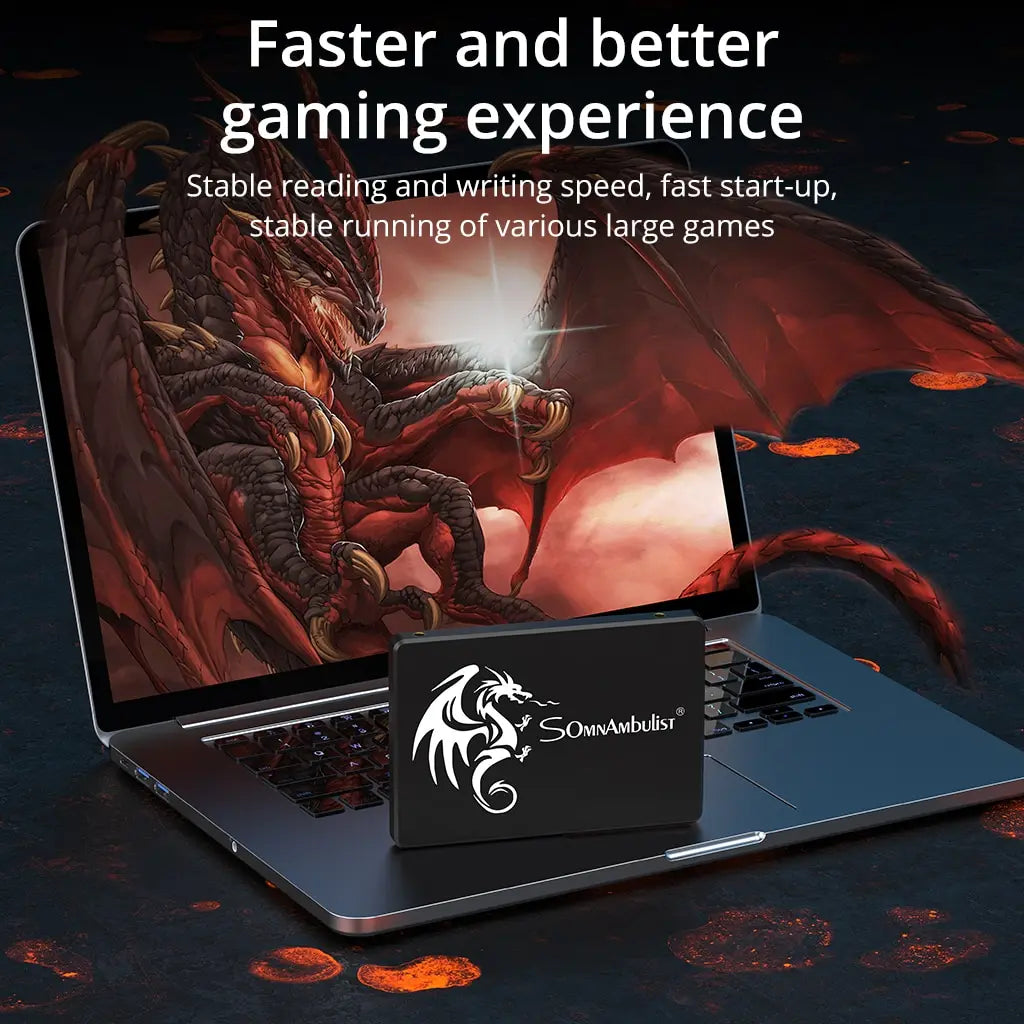 SomnAmbulist SSD 120GB 240GB 480GB 960GB Internal Sata3 Solid State