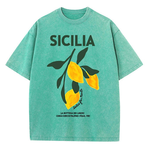 Amalfi Coast Italia Lemon Fruit Design Women Washed T-Shirts Y2K