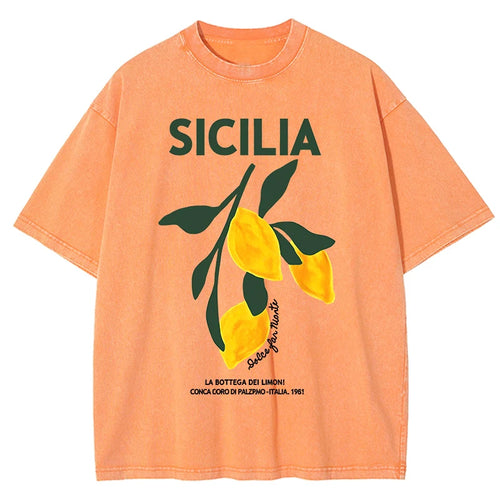 Amalfi Coast Italia Lemon Fruit Design Women Washed T-Shirts Y2K